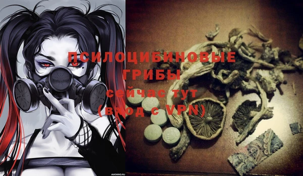 соль курить ск Костерёво