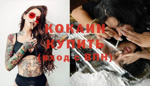 мдпв Кодинск