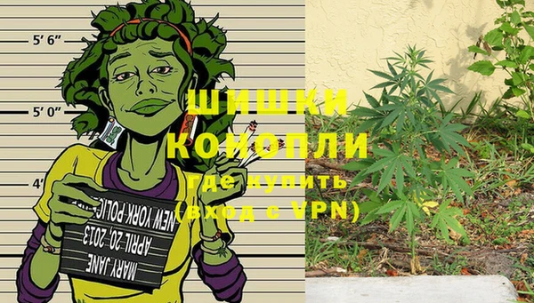 мдпв Кодинск