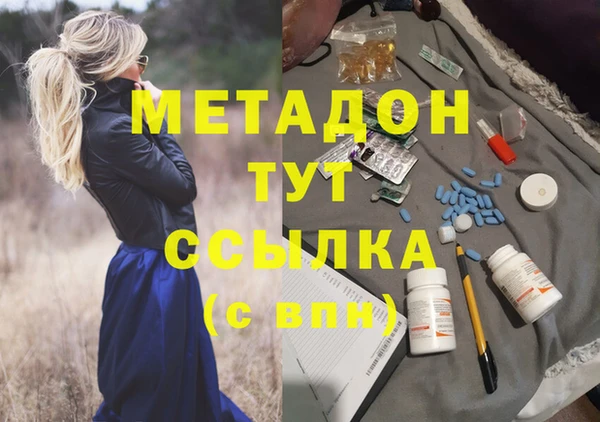 индика Киреевск