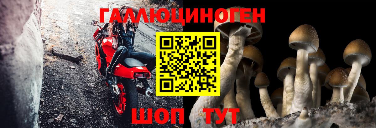 Галлюциногенные грибы мухоморы  Вход с VPN  Челябинск 