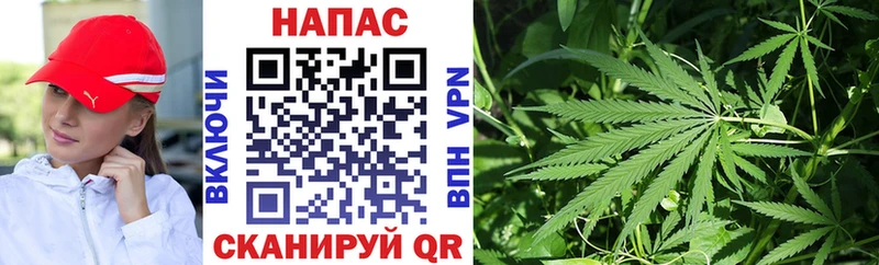 Шишки марихуана конопля  Челябинск 